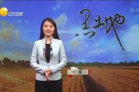 记者变身农机手 智能农机助春耕丨辽宁电视台-黑土地栏目