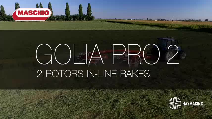 GOLIA PRO 2转盘式搂草机